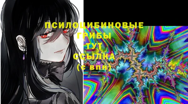 кокс Алзамай