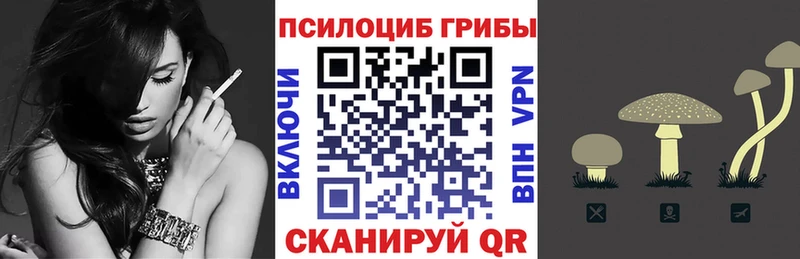 Псилоцибиновые грибы мицелий Спасск